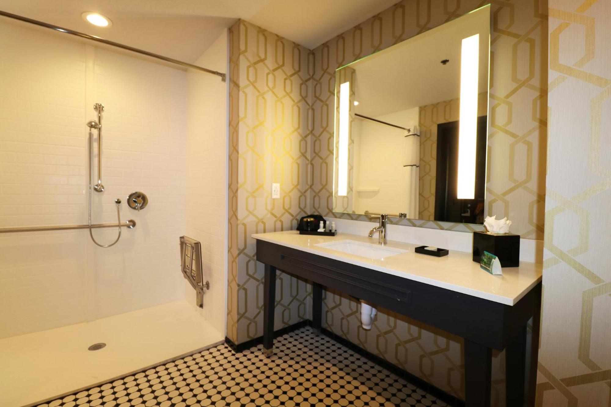 King Room Roll Shower Hearing Accessible or Non-Smoking